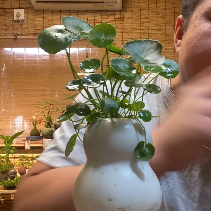 一物一拍所见即所得219