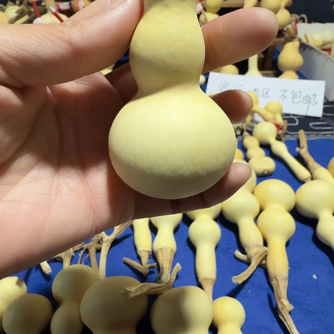 ℳ****葫芦葫芦花为原料制作而制