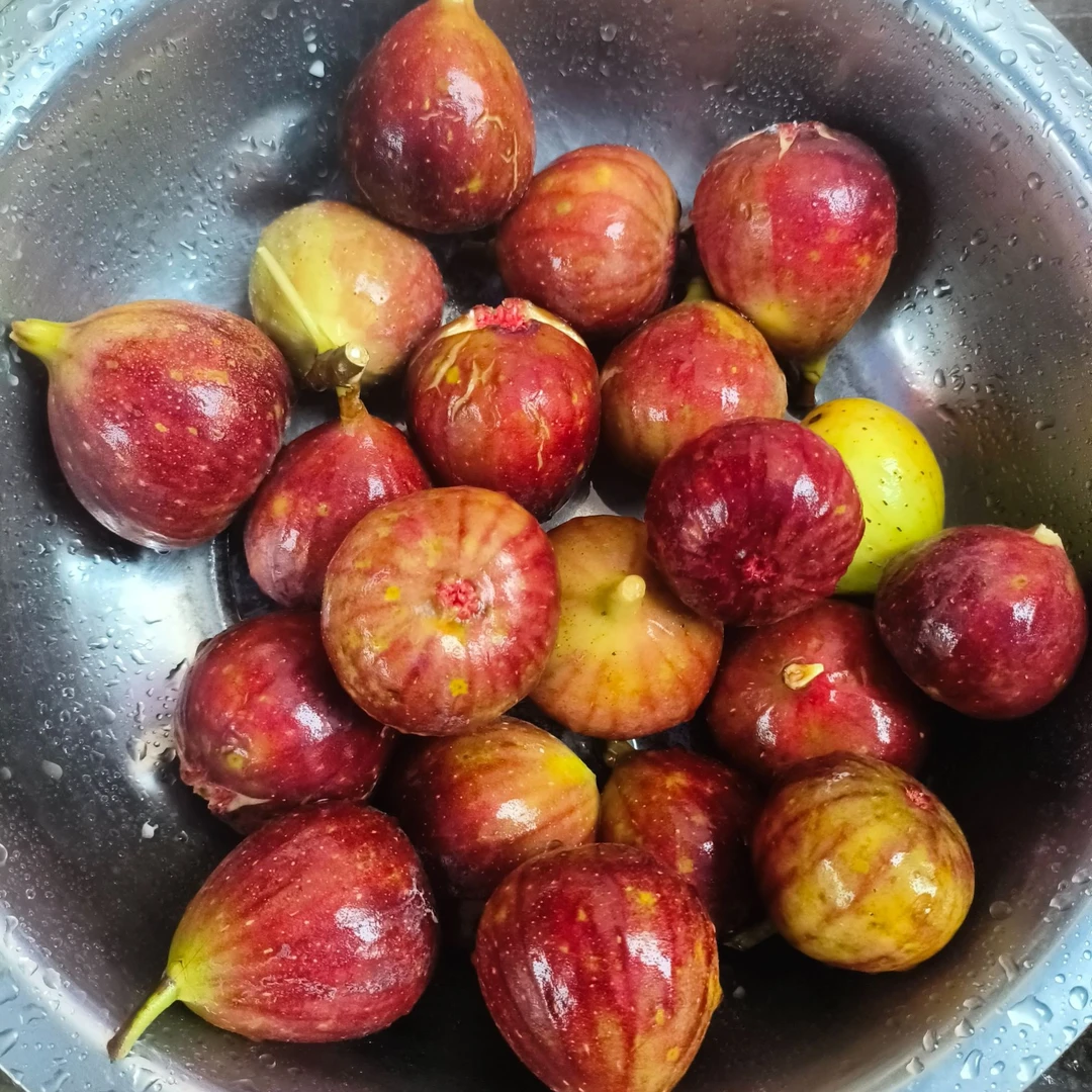 贵州农家老树无花果红皮无花果应季水果绿色健康现摘现发