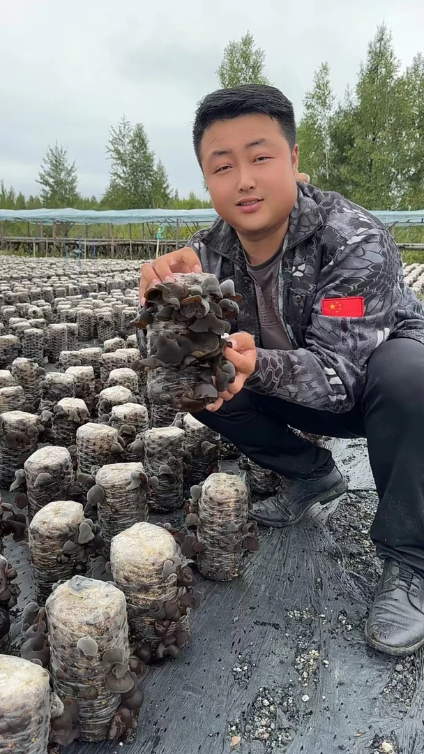 精品小碗耳黑龙江木耳干货干净无根肉厚饱满