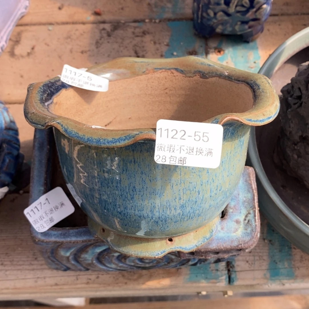 55号花盆内11.5高875