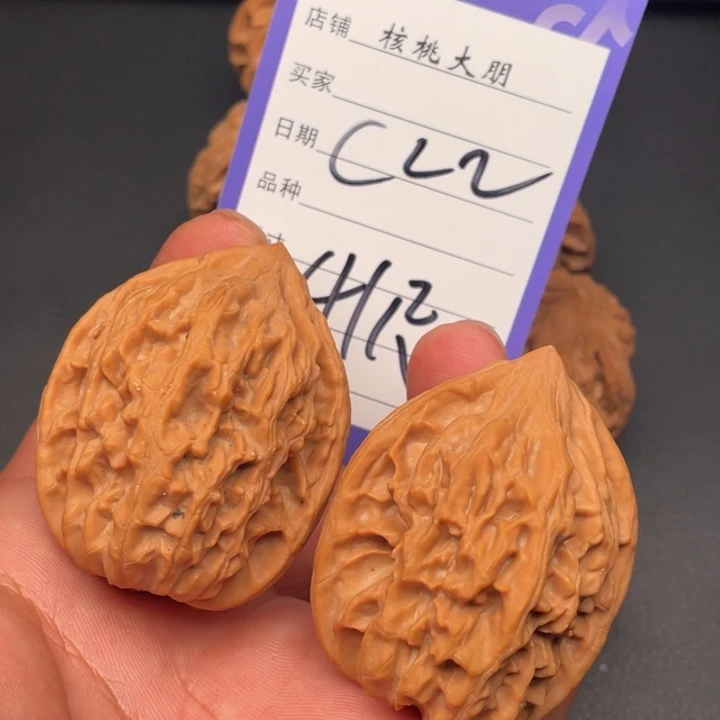 核桃小鸡41尺寸全品