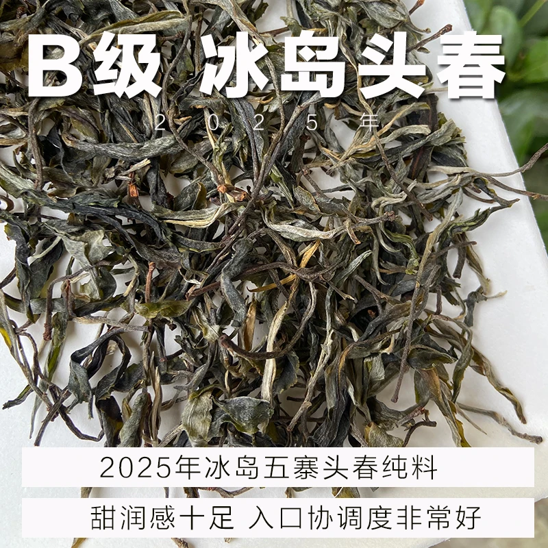 花香浓郁甜度高 生津 2025年头春冰岛N普洱茶生茶古树混采B级