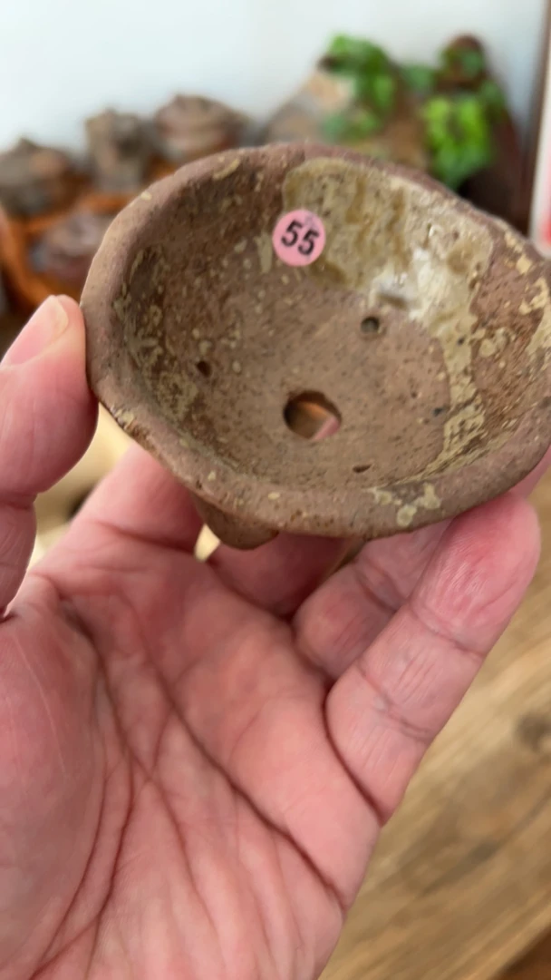 润物轩盆景小花盆