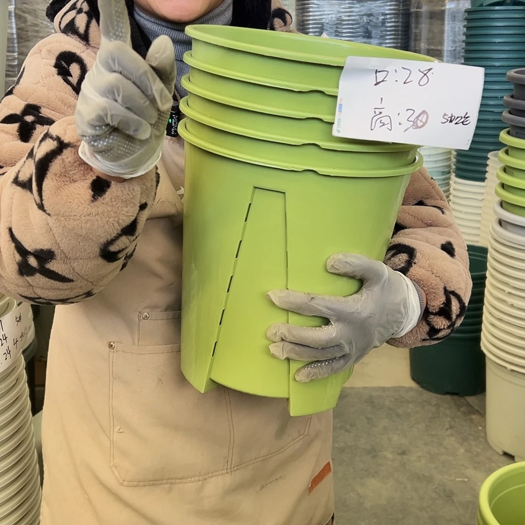 瑕疵Q28#果绿色5个无托