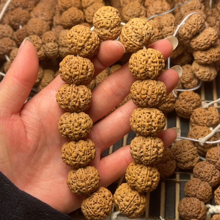 菩提尼泊尔大金刚超头六瓣22