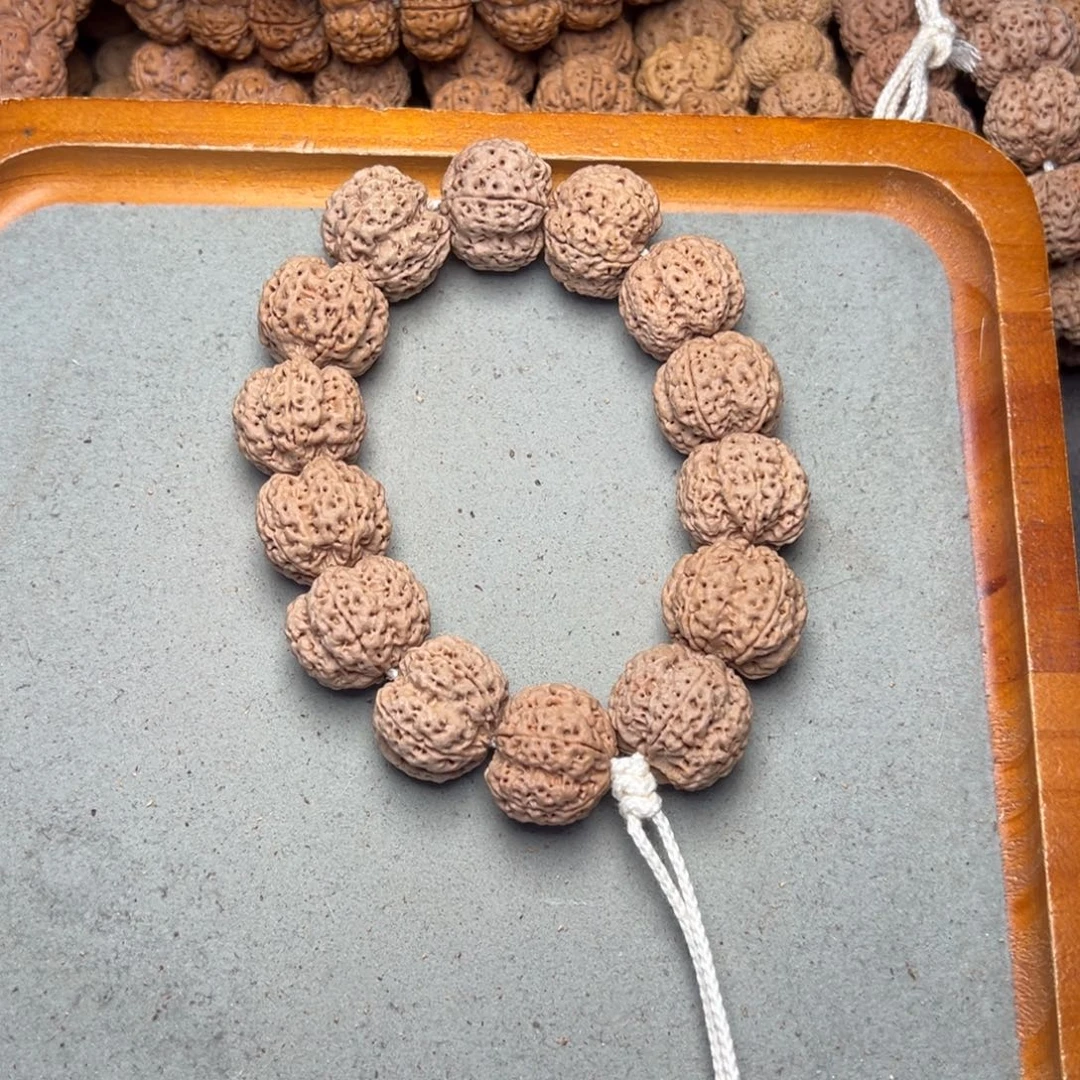 菩提42号金刚菩提针孔蜂王22