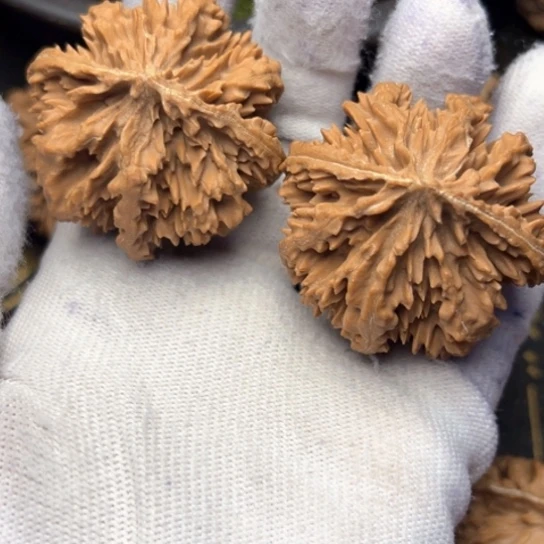 文玩核桃把件秦岭核桃22