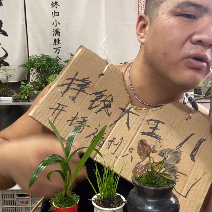 无花朵退款拉黑拉黑7
