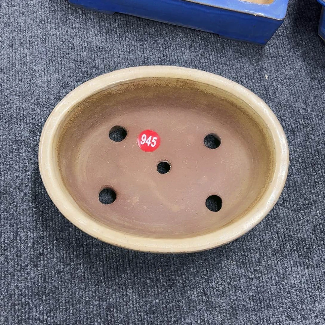 六***5对你的喜欢就如同这日子只增不减945