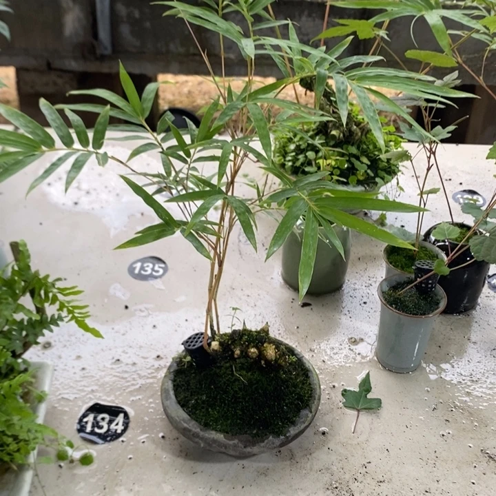 护***千无花朵退款拉黑拉黑70