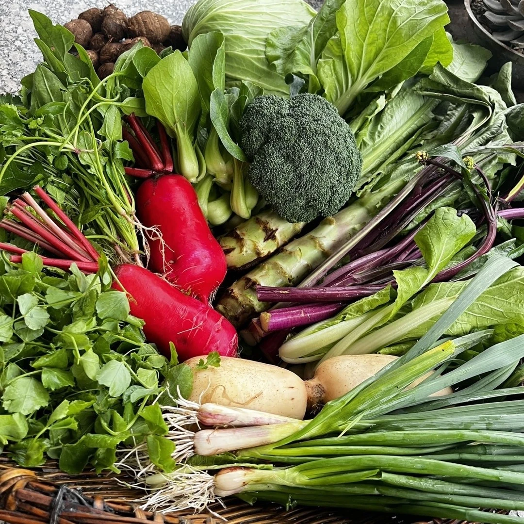 农市赶集生鲜蔬菜