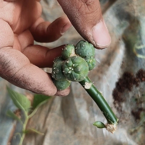 205福利出啦哦耶