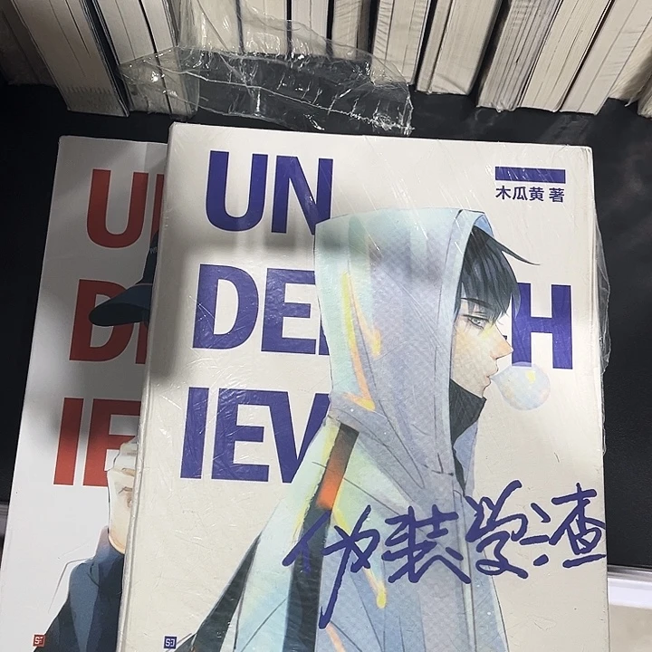 伪装学渣全新全套两本带周边未删减