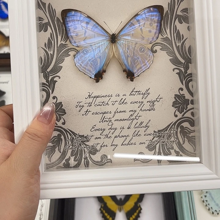 仙***哩夜明珠白框1号成品