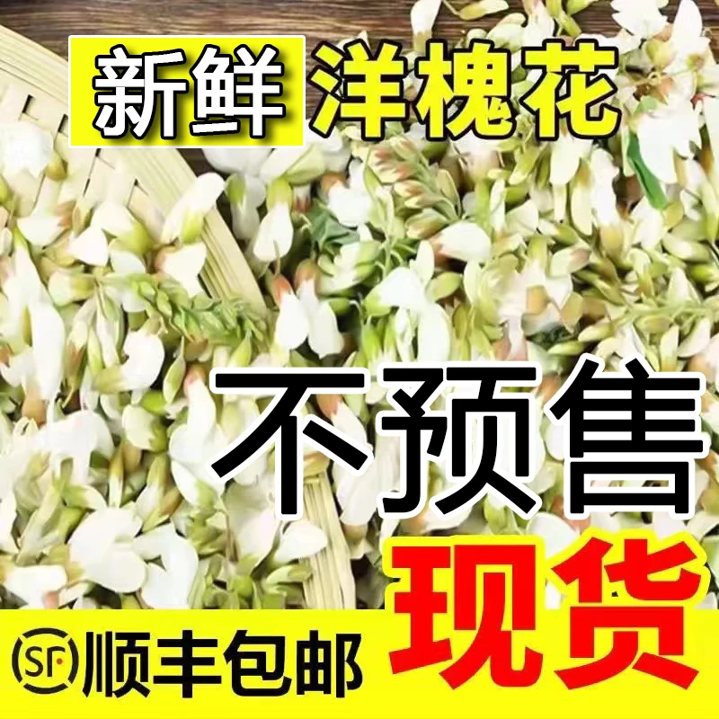2025年新鲜洋槐花农产品槐花洋槐花现摘现发2/3/4斤/5斤顺丰包邮