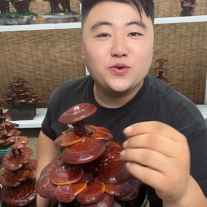 无花朵露*露灵芝花开了