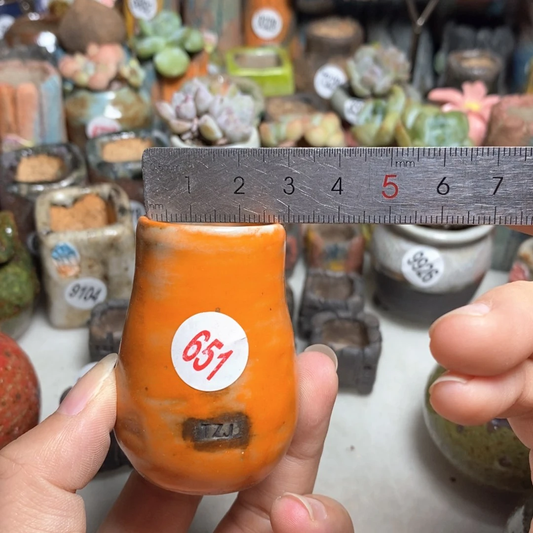 拍5送一个小礼物