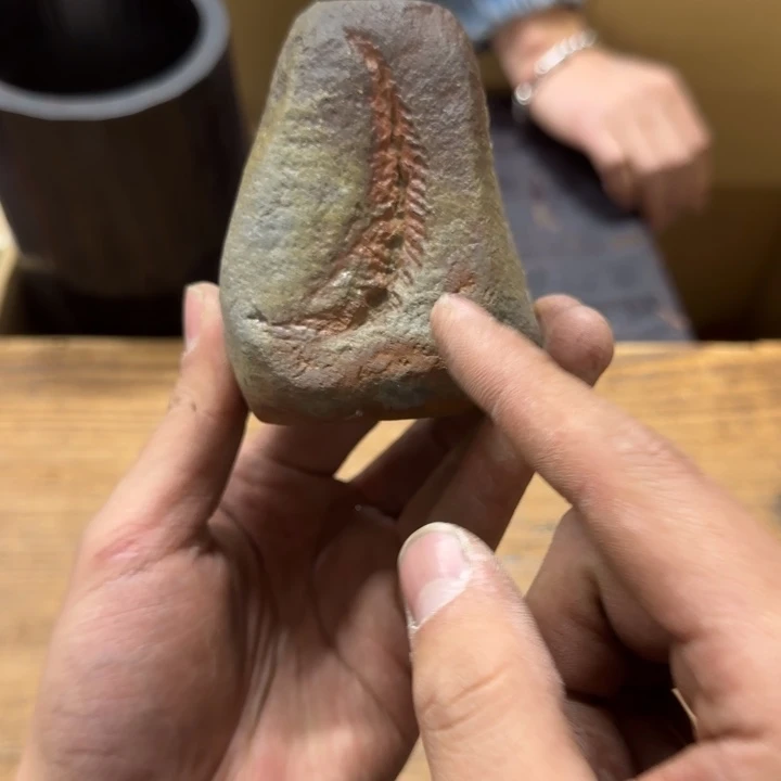 D*调哈哈哈哈哈哈哈哈哈