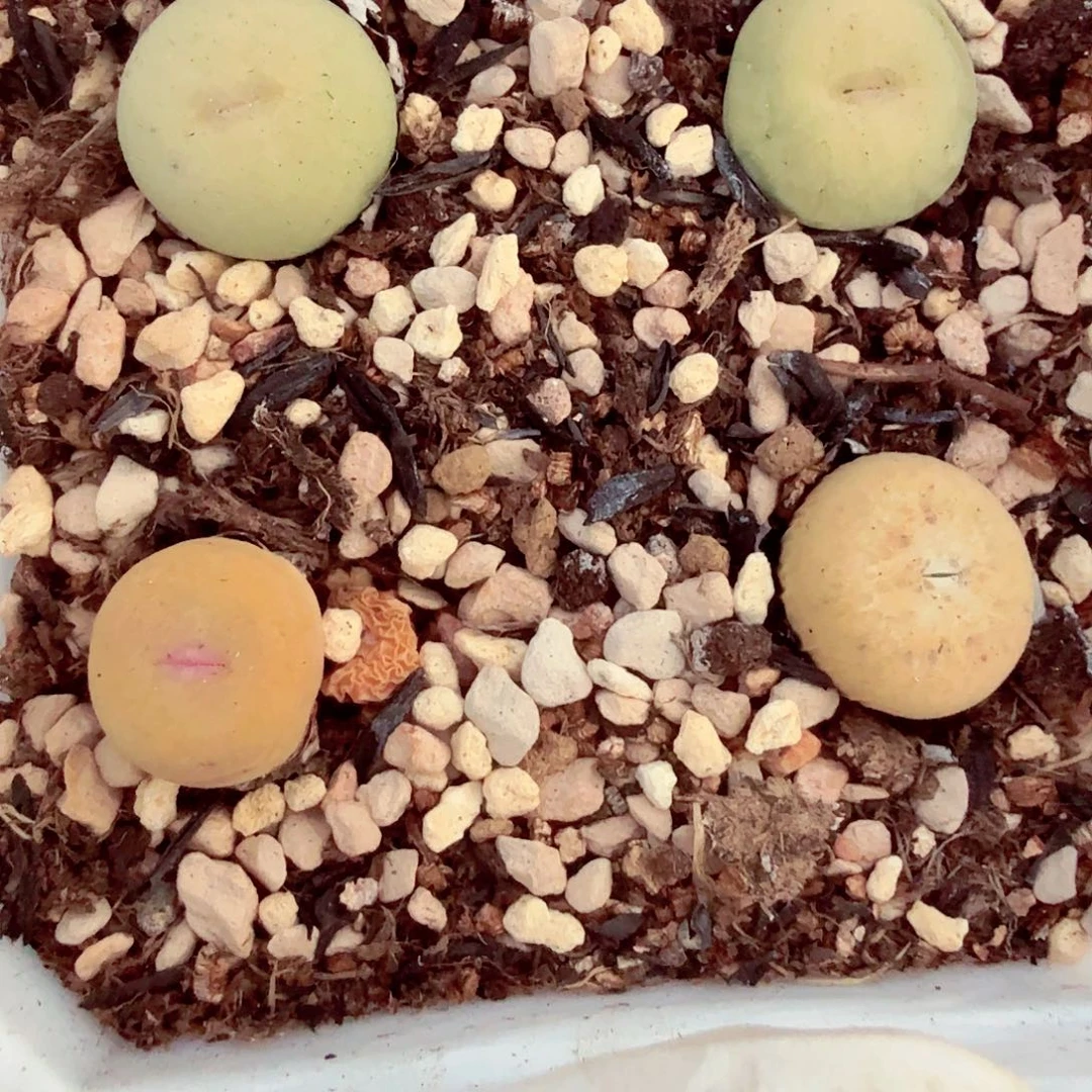 雅*你说吧别在打电话啦不要315