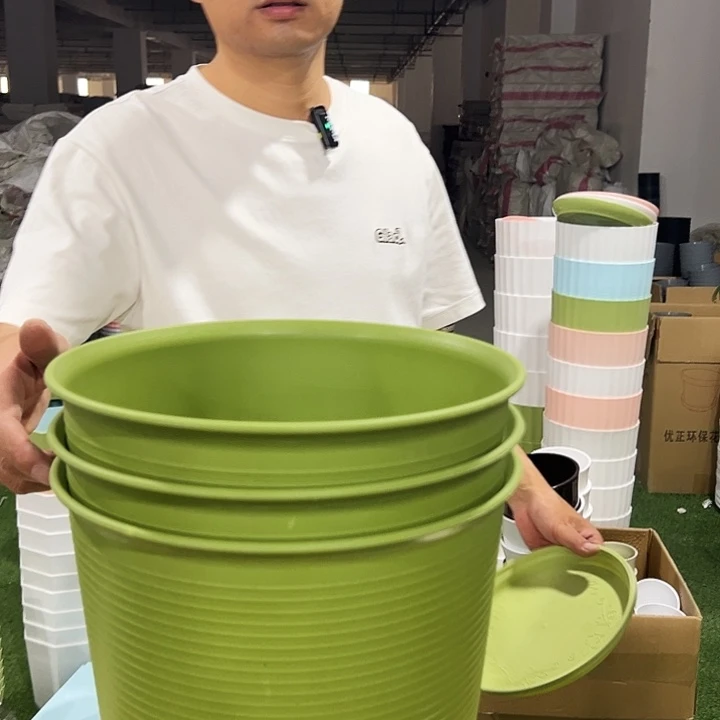 高陶口27高27果绿带托3只