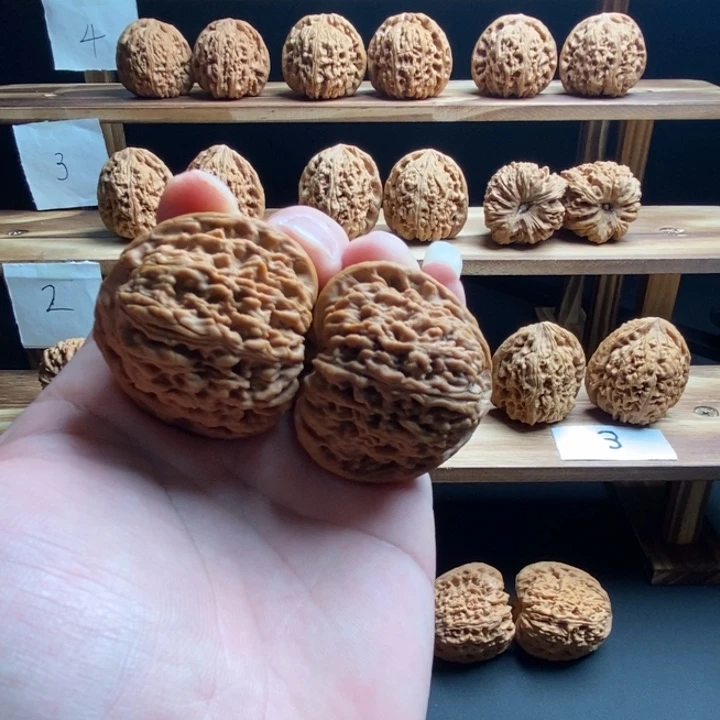 铁***鸡桃核把件南疆石尺寸40