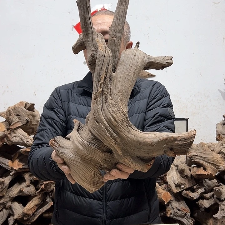 柏木诚**人我们都是好孩子呀我也