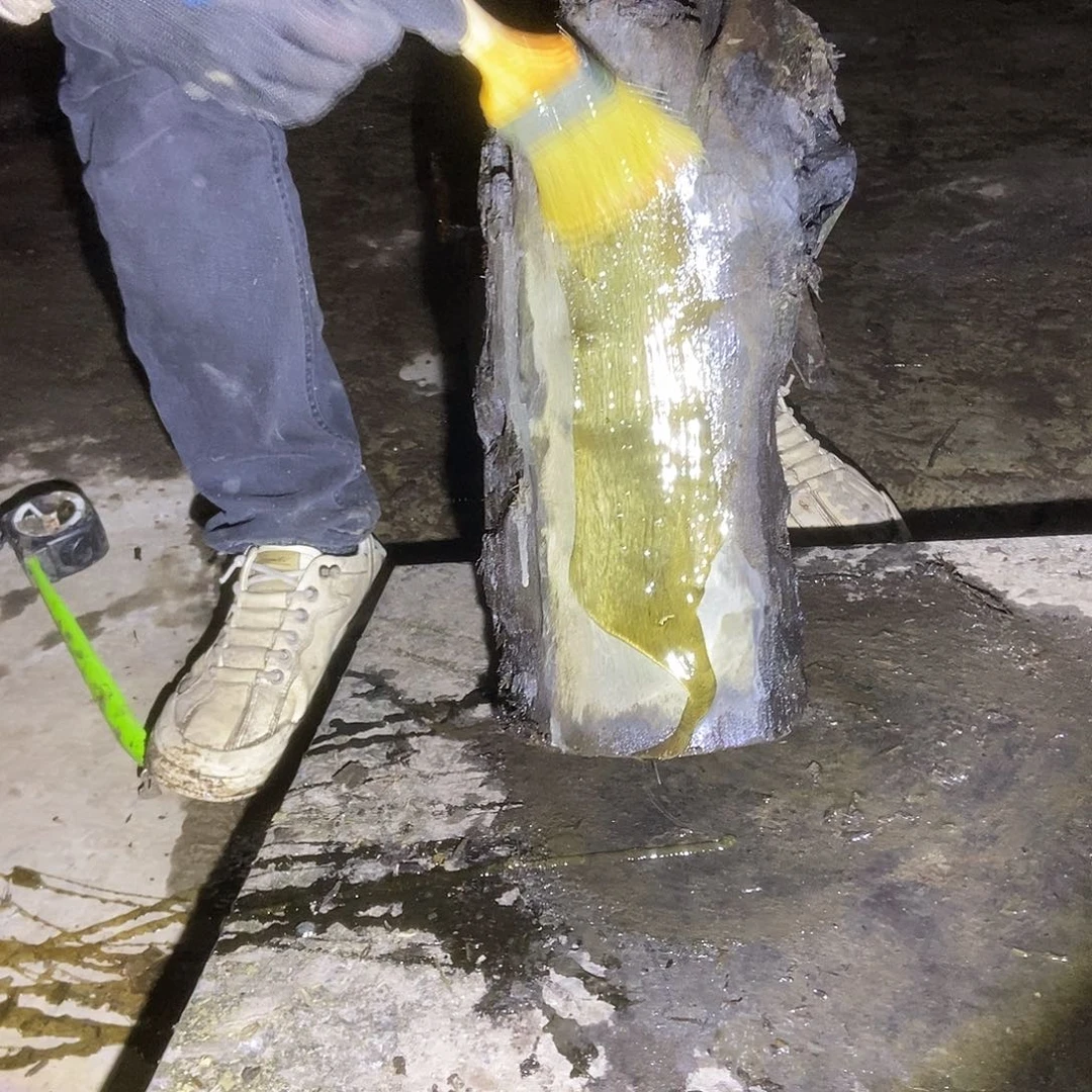 金丝楠阴沉木毛料