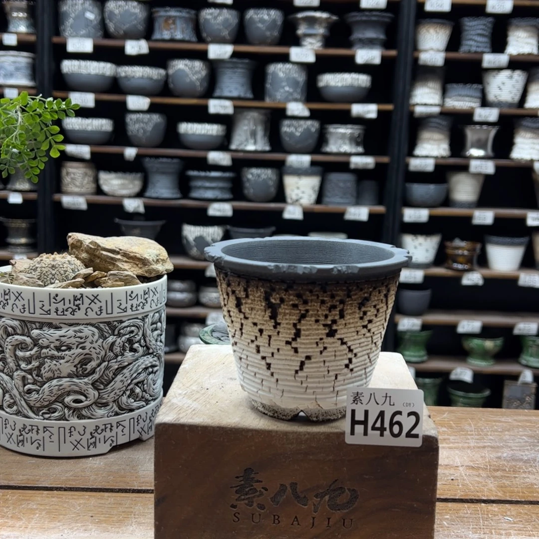 素八九陶瓷内口9.5高9