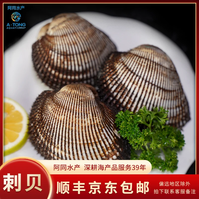 【阿同海鲜】新鲜赤贝毛蚶
