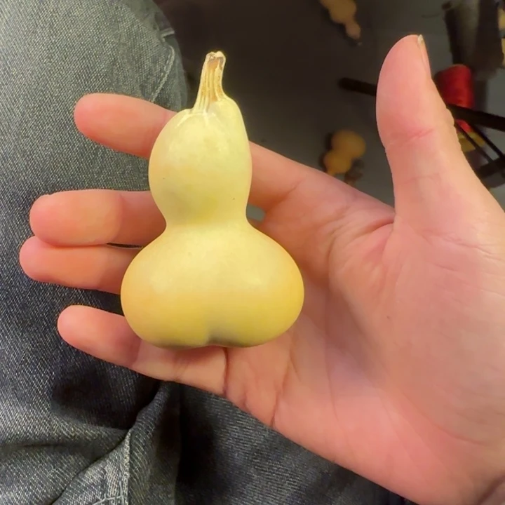 财***进大叶紫檀（黑酸枝木类）