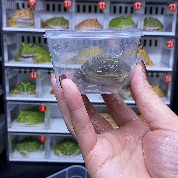 特价秒杀一切顺利