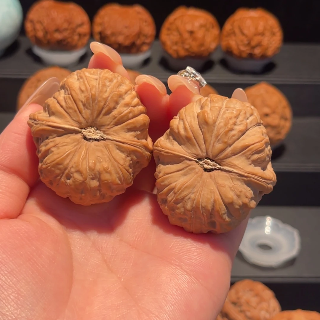 南瓜墩41➕，精品，货头肚45