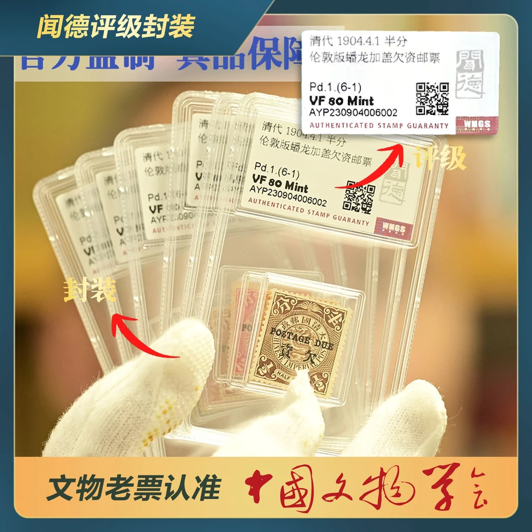317-S蟠龙加盖欠资邮票(全套6枚)/Pd.1/VF 80 Mint