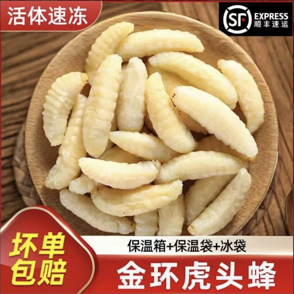 顺丰金环虎头蜂蛹一级二级四级嫩虫油炸烧烤昆虫特产