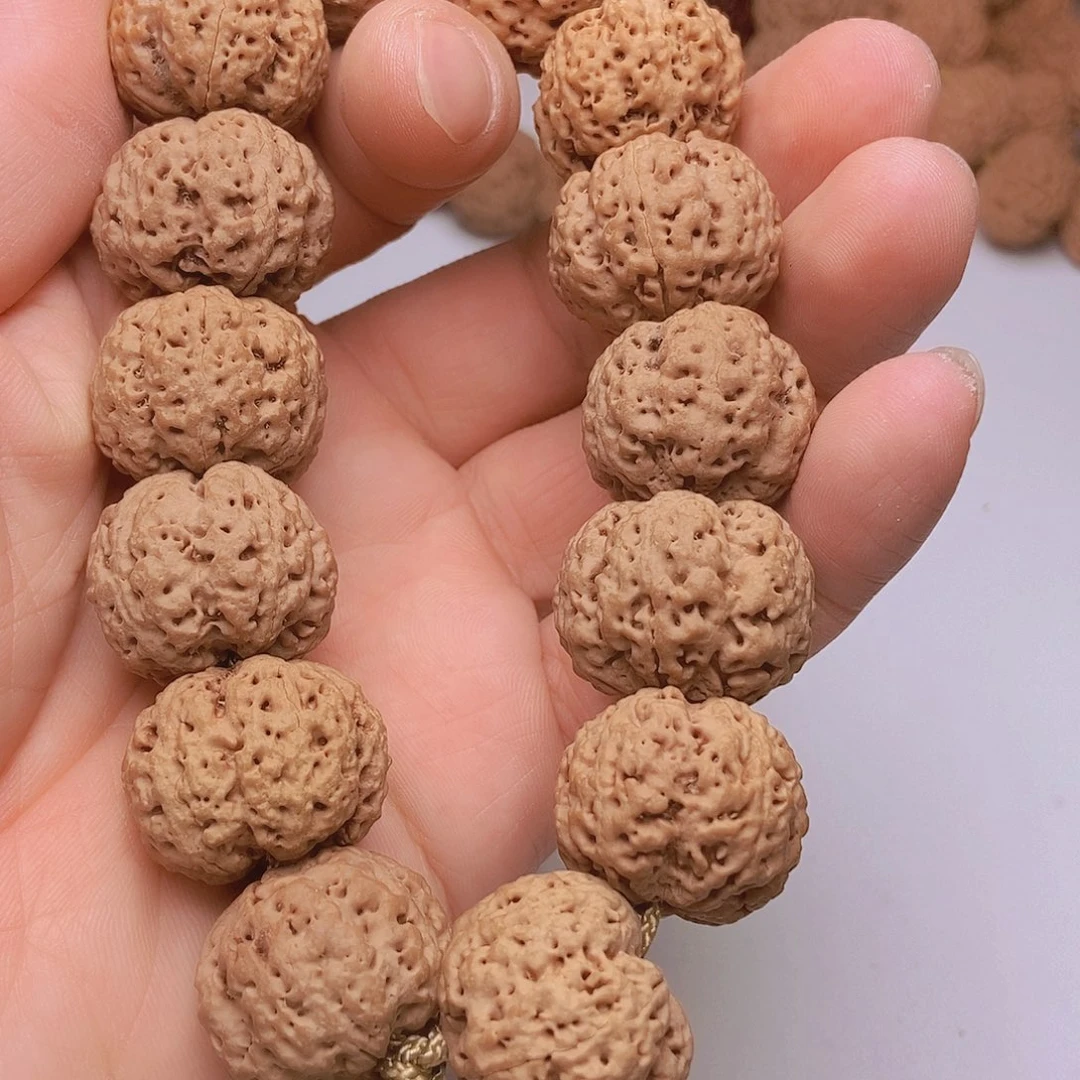 金刚菩提把件5瓣23飓肉蜂王
