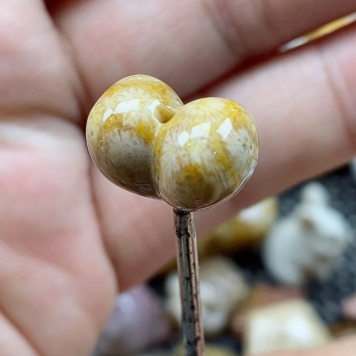 颈饰未镶嵌硅化珊瑚（珊瑚玉）小