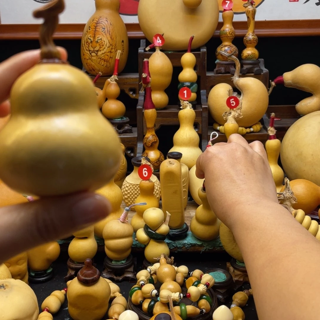 泰****业大自然的秘密第十一节课