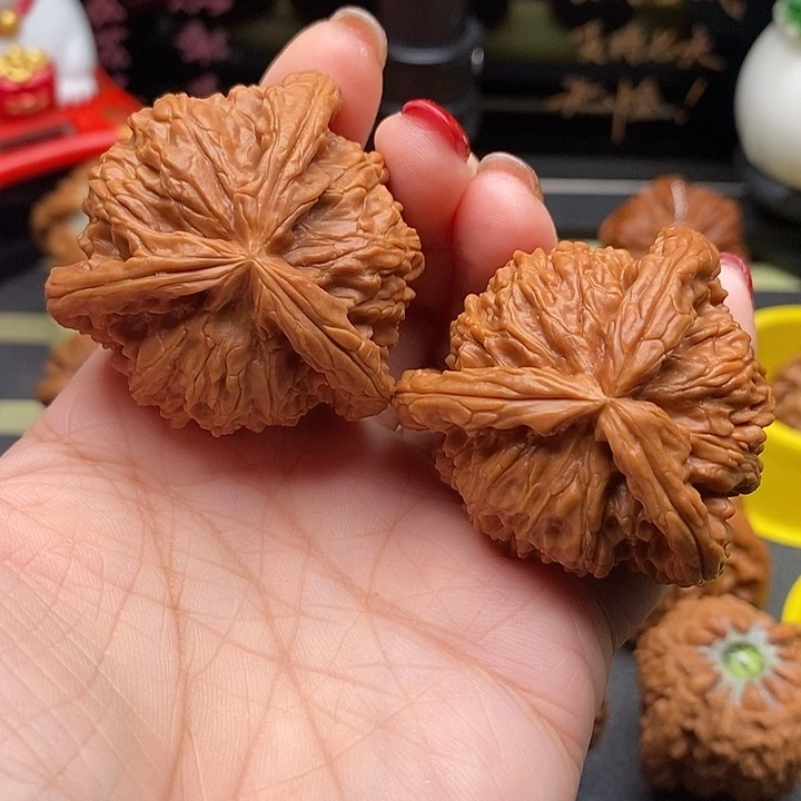 小****核桃44拼接白狮子