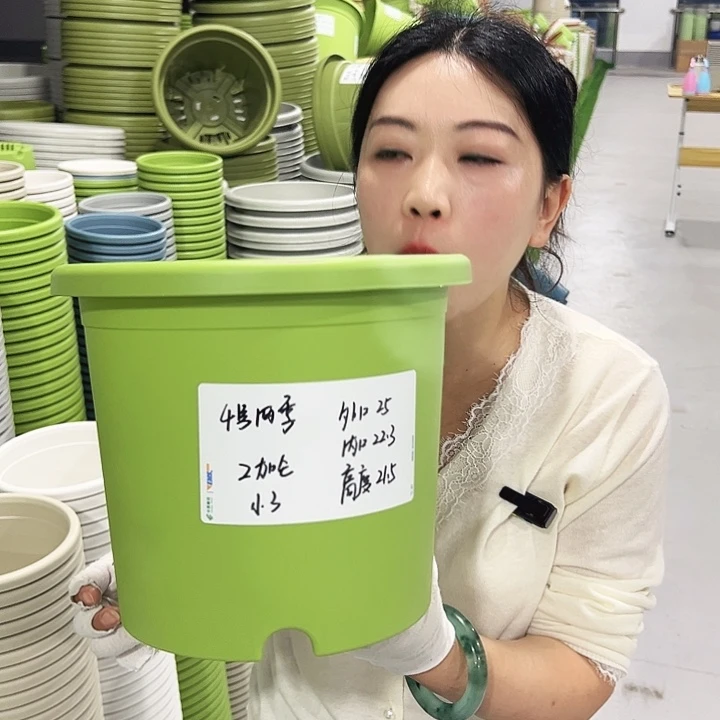 特价4号四季口25高21.5果绿8只无托