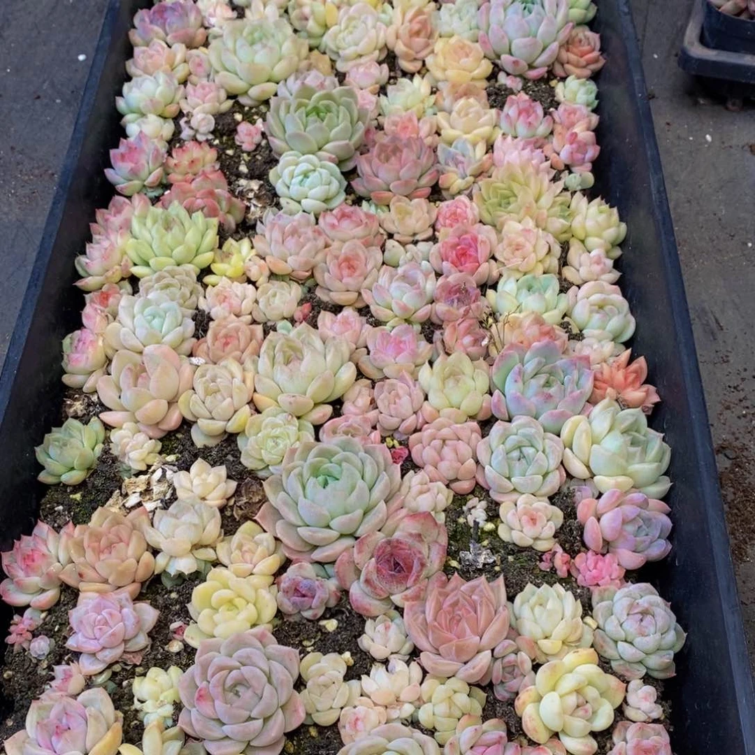 218多人在一起的时候我