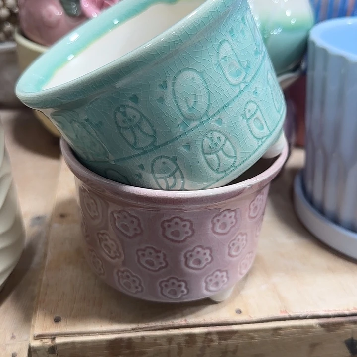 全部花盆福利处理···满10包邮