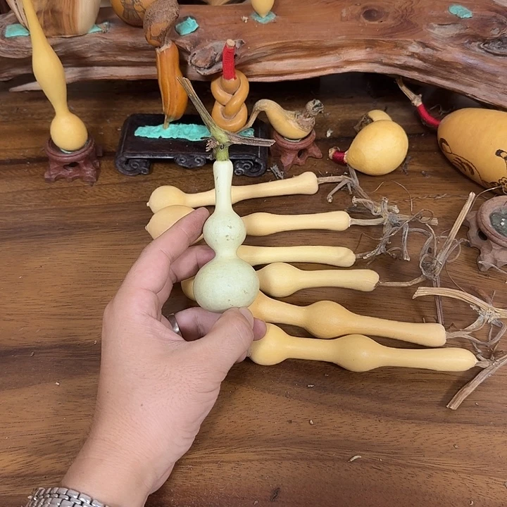 士***共jcucucuvivivkvkbkbkblb