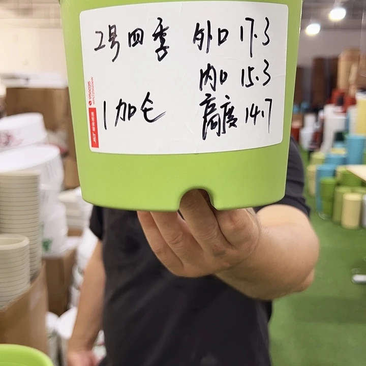 四季2号特价混色10个无托