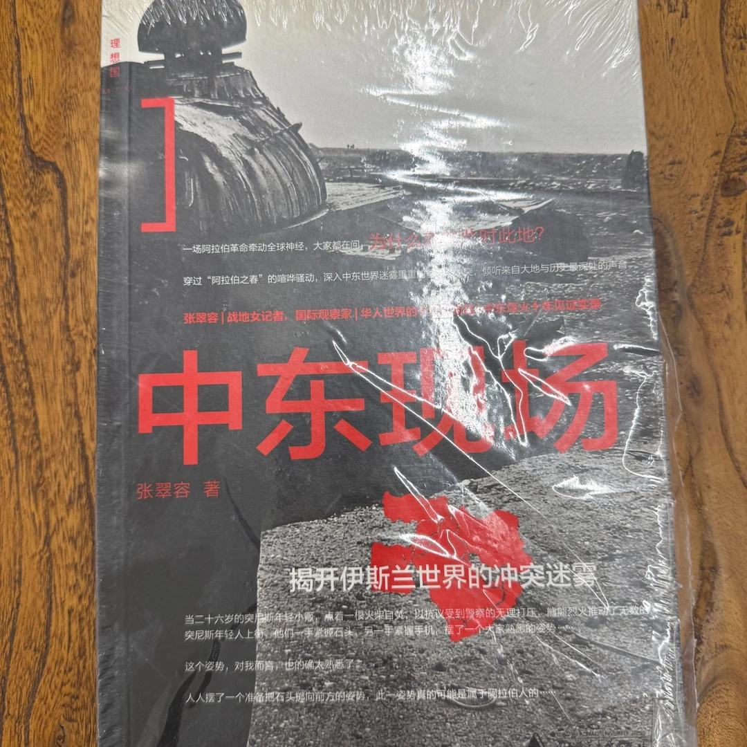 【瑕疵】中东现场:揭开伊斯兰世界的冲突迷雾