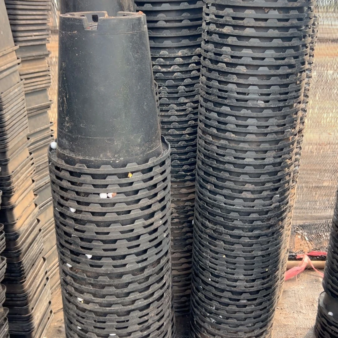 花边兰花万象盆17.5口径19高 15个