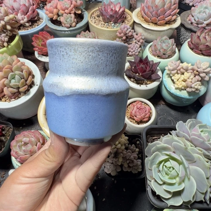 特价花盆 满50发货 内口5.5