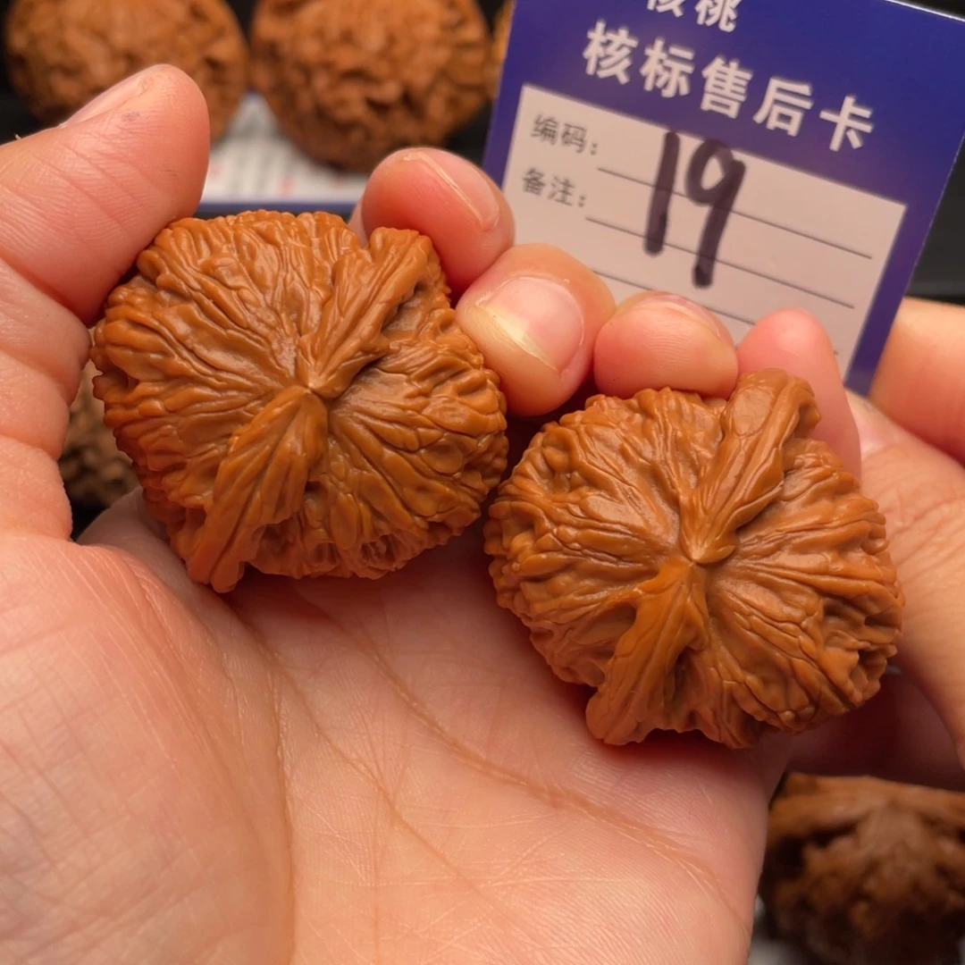 醉***山文玩核桃把件白狮子40加19号