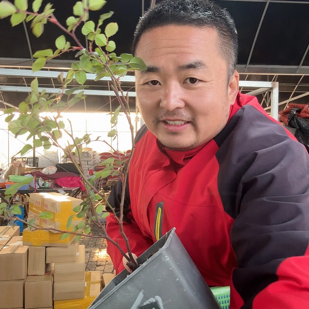 当前无花朵，栽培后可花朵