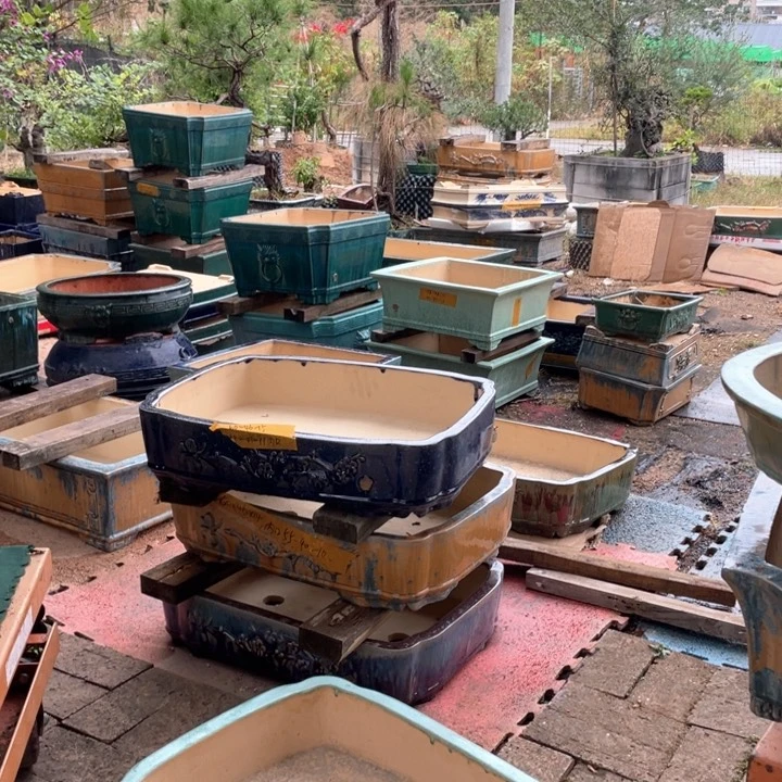 永**痛种盆景植的花盆